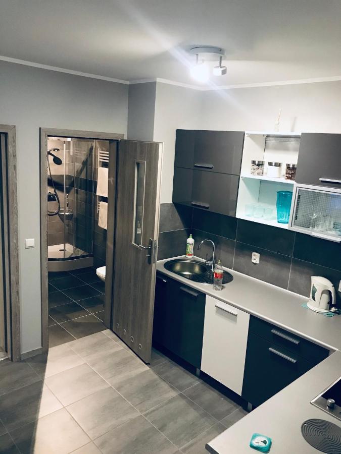 Apartament C18 イェレニャ・グーラ エクステリア 写真